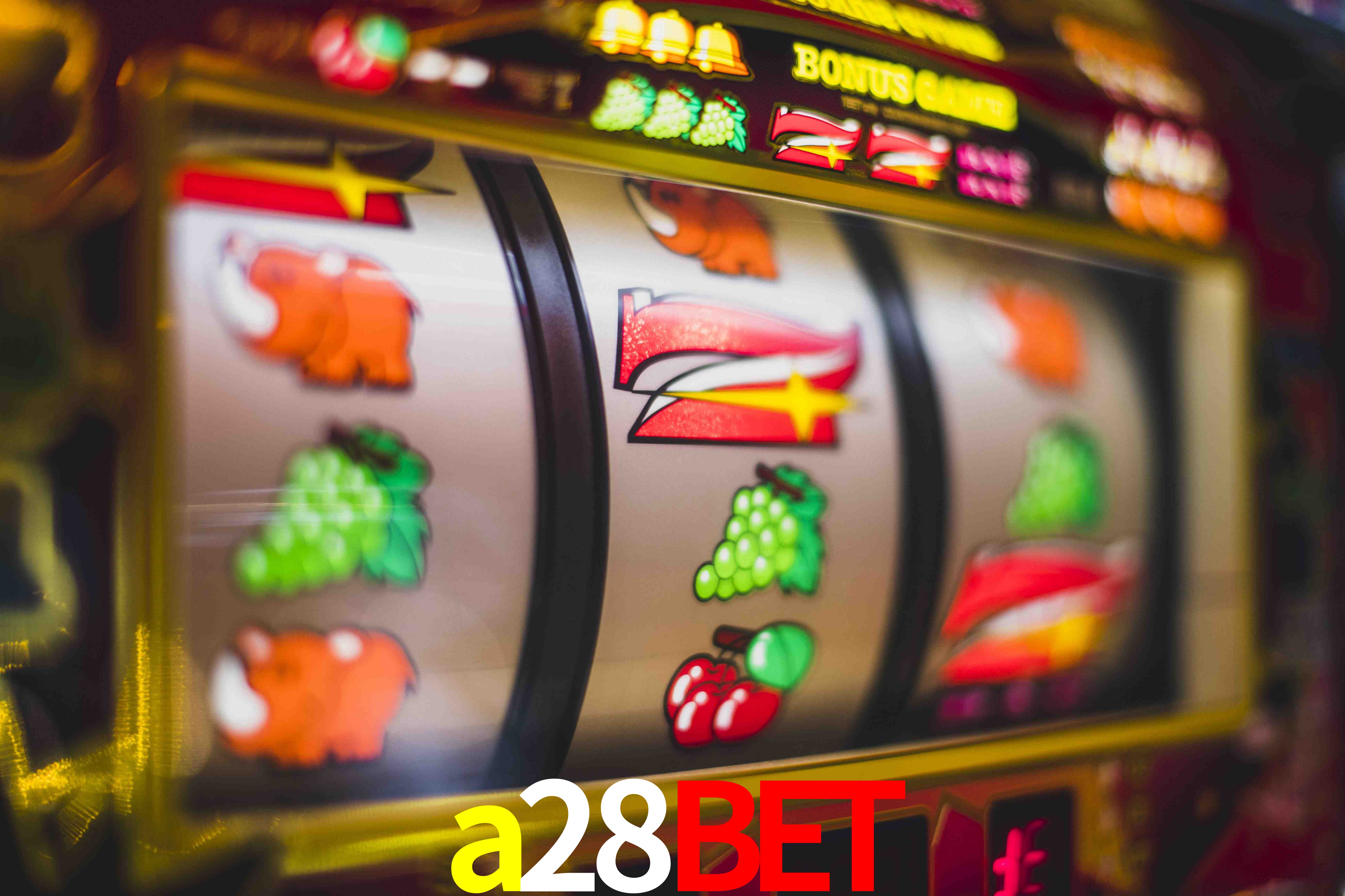 Sports Statistics a28bet